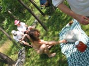 IMG_1540