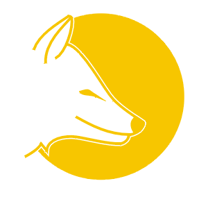 cartoon of fox against amber circle